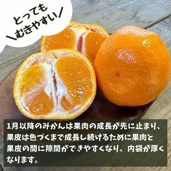 みかん Lサイズ 秀品 箱込 10kg (内容量約 9.2kg) 有田みかん 和歌山県産 産地直送 贈答用 ［2025年11月中旬より順次出荷予定］［みかんの会］ 	AX198