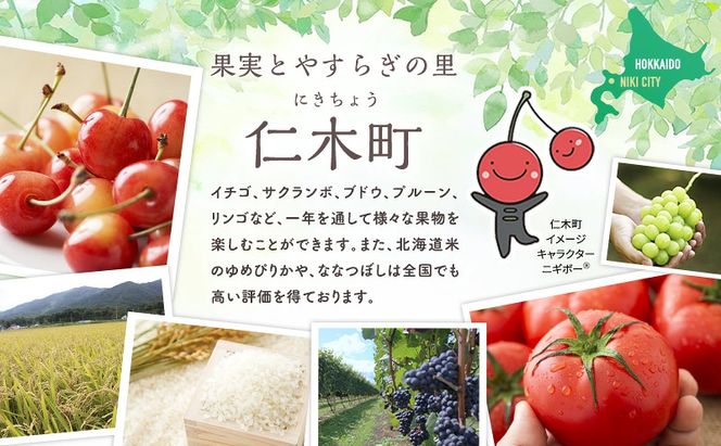 2027年発送 北海道 仁木町産 さくらんぼ 500g 佐藤錦または紅秀峰 果樹 サクランボ チェリー フルーツ 果物 果物類 ギフト 仁木町 仁木 [くくり農園]