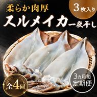 【3ヵ月毎定期便 全4回】日本海産　柔らか肉厚のスルメイカ一夜干し(大)3枚　 魚貝類 イカ いか スルメイカ お酒 つまみ 特大 新鮮 保存 冷凍 国産 酒の肴 酒のつまみ myz02 myz10 myz11 myz17