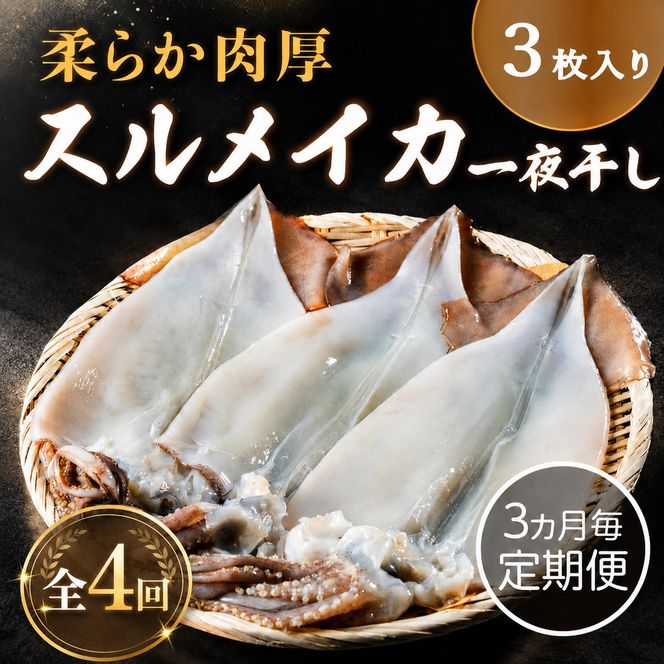 【3ヵ月毎定期便 全4回】日本海産　柔らか肉厚のスルメイカ一夜干し(大)3枚　 魚貝類 イカ いか スルメイカ お酒 つまみ 特大 新鮮 保存 冷凍 国産 酒の肴 酒のつまみ myz02 myz10 myz11 myz17
