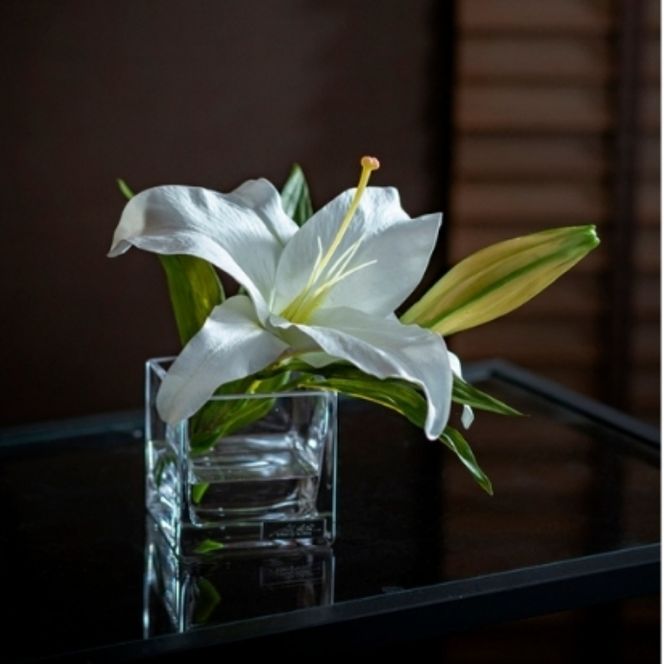 アートフラワー エミリオ・ロバ  カサブランカM-1 TTNTS-91100