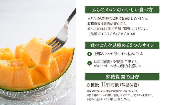 2027年夏発送【先行受付】 ふらのメロン 赤肉 秀大2玉 計4kg以上 富良野メロン 赤肉 めろん 北海道 甘い 大きい 果物 フルーツ