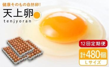 【 全12回 定期便 】 こだわり の 卵 「 天上卵 」 40個 セット 《糸島》【株式会社おおはまファーム】 [AKH008]