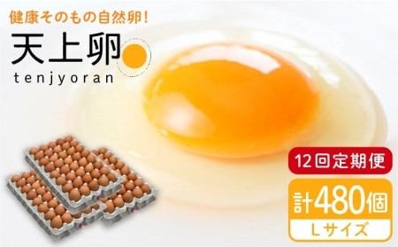 【 全12回 定期便 】 こだわり の 卵 「 天上卵 」 40個 セット 《糸島》【株式会社おおはまファーム】 [AKH008]