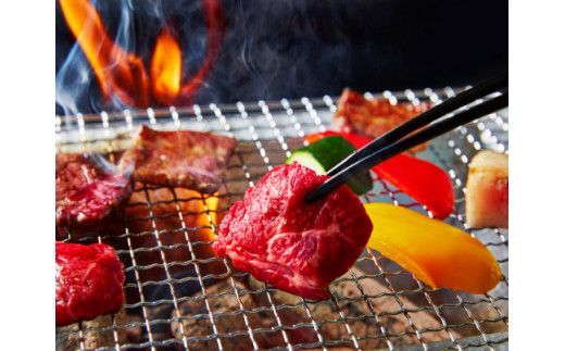 A5等級 未経産雌 特選近江牛おすすめ部位 焼肉3種盛り合わせ 合計1kg【FO04W】	
