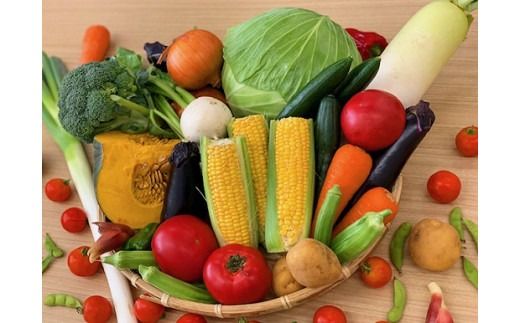 川崎市市内産新鮮野菜・農産物詰め合わせ