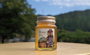 90g 天然蜂蜜 国産蜂蜜 非加熱 生はちみつ 岐阜県 美濃市産 (配送エリア限定) D1  深田養蜂のハチミツ