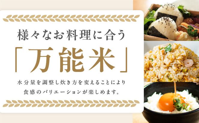 G4293 【先行予約】ヒノヒカリ 6kg【米 お米 白米 こめ ごはん 産地直送 5kg以上 射手矢農園】