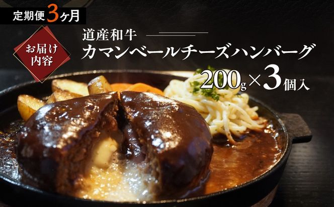 【3ヶ月定期便】道産和牛カマンベールチーズハンバーグ（200g）3個入り MROA172