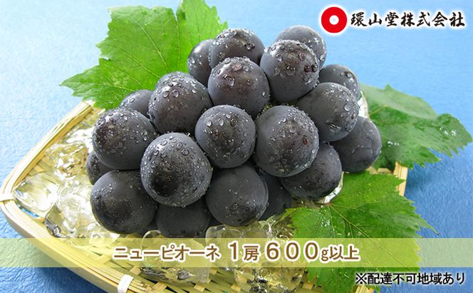 ぶどう 2026年 先行予約 ニュー ピオーネ 1房 600g以上 ブドウ 葡萄  岡山県産 国産 フルーツ 果物 ギフト 環山堂 