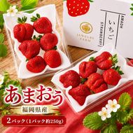 あまおう イチゴ 2パック（1パック約250g) 化粧箱