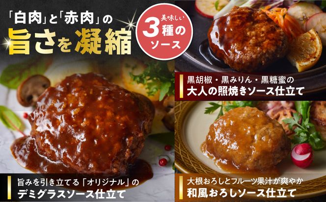 霧島黒豚 3種の煮込みハンバーグ 12個セット (デミグラスソース仕立て・和風おろしソース仕立て・大人の照焼きソース仕立て)_11-2803_(都城市) 脂身 厳選 霧島黒豚 じっくり 3種類 ソース ふっくら 煮込みハンバーグ 小分けセット！ ハンバーグ 豚肉