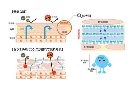 【 全3回 定期便 】 ブースター ローション 《糸島》【株式会社Yu-ki】[AHJ011]