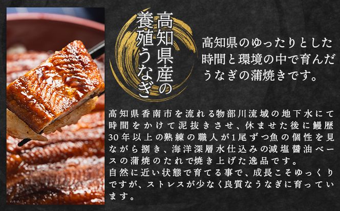 うなぎ 蒲焼き 2尾 計400ｇ 高知県産 鰻 フジ物産 国産 養殖 fb-0206