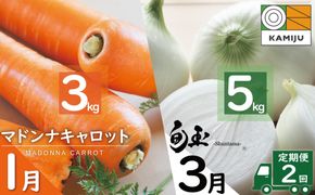 （2027年発送：先行受付） ＜日本テレビ『満天☆青空レストラン』で紹介されました！＞にんじん 新玉ねぎ 定期便 2回　旬の美味しい季節にお届け マドンナキャロット 旬玉 人参 ニンジン 旬玉 玉ねぎ たまねぎ 野菜 やさい 国産 碧南市 健康 食品ロス削減 甘い 先行予約 旬 特産 高評価 高リピート 人気　H105-223