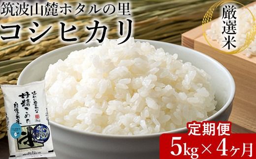 【定期便 4ヶ月】令和7年産 筑波山麓ホタルの里厳選米コシヒカリ5kg　透き通った大粒米　※離島への配送不可　※2025年10月下旬頃より発送開始