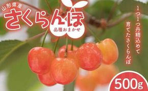FYN6-053 ≪2026年先行予約≫山形県 品種おまかせ さくらんぼ 500g M～L 秀品 バラパック 2026年6月上旬頃から順次発送 果物 くだもの フルーツ 夏果物 サクランボ チェリー ご自宅用 ご家庭用 山形県 西川町 月山