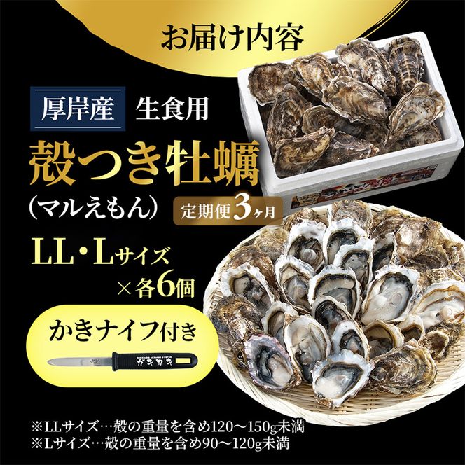 【 3ヵ月 定期便 】 厚岸産 ブランド 殻付カキ マルえもん 生食用 サイズ食べ比べ 12個 (LL・L各6個)[ 魚貝類 生牡蠣 かき 牡蠣 カキ 生ガキ 食べ比べ ]