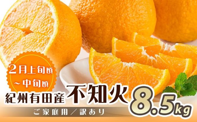 【魚鶴商店厳選】和歌山人気の柑橘ご家庭用・訳あり定期便（みかん・不知火・清見オレンジ）【定期便全3回】【UT117w】AN032