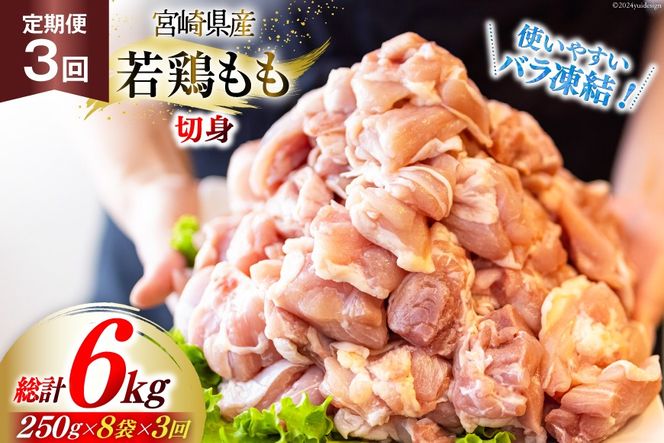 y{茧z{  {  ؐg  250g 8p 3 v 6kg Zbg [Bt[Y {茧  31aj0067]  { {茧Y ֗ lC { pp IQF { Ⓚ Y  Jbg