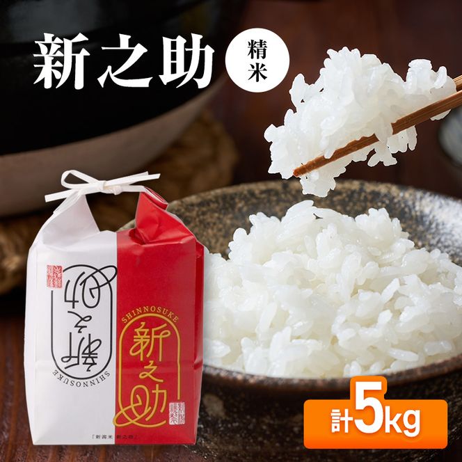 【先行予約】令和8年産 新之助5kg