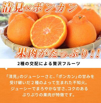 G7356_【2027年先行予約】不知火 5kg デコポン 柑橘の王様 甘い プリプリ ジューシー 濃厚 フルーツ 果実 果物 柑橘 紀州有田産 国産 食品 食べ物 お取り寄せ 魚鶴商店 和歌山県 湯浅町 送料無料