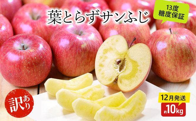 りんご【12月・1月発送】蜜入り 糖度13度以上 訳あり 家庭用 葉とらず サンふじ 約10kg【青森りんご 果物 フルーツ デザート 食後 おやつ 産地直送】