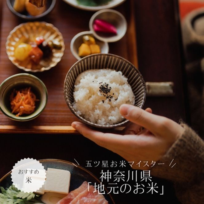 159-2006-09　A-7-3.大磯地元のお米セット３ｋｇ×２【 地元産米 米セット 神奈川県 大磯町 】