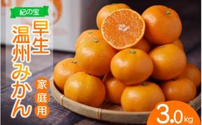 みかん 訳あり品 ご家庭用 たにぐち農園の早生温州みかん(マルチ栽培) 3kg【2025年11月中旬～12月中旬に順次発送】 / わけあり 訳あり ご家庭用 家庭用 不揃い 早生 温州 みかん 蜜柑【mtn102B】