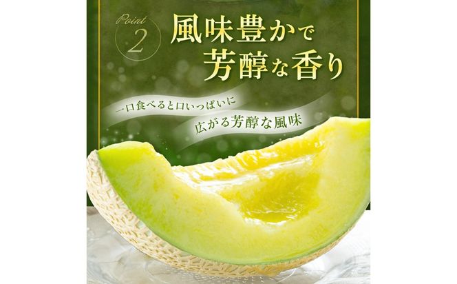 【ふるプレ限定品】【特別寄附額】【先行予約】京丹後・俵野産 砂丘メロン 2L以上 1玉（2026年7月下旬～発送）　IU00001P