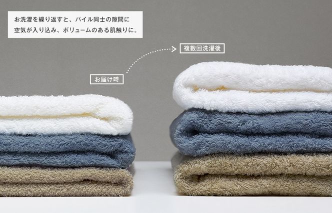 G3575 【スピード発送】ファミーユ フェイスタオル10枚セット チャコール