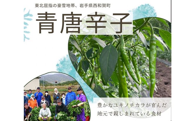 北海道産 青唐辛子明太子 2パック たらこ 明太子 辛子明太子 ご飯のお供