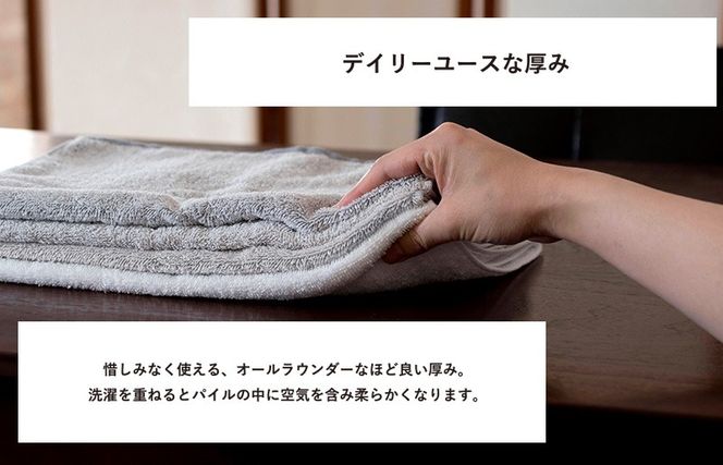 G5338 【スピード発送】260匁フェイスタオル グレージュ 10枚セット【フェイスタオル 泉州タオル 吸水 普段使い シンプル 日用品 たおる】