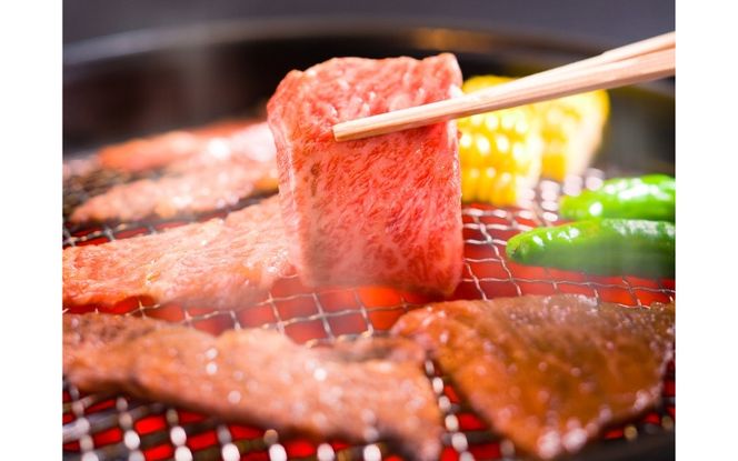 伊賀牛焼肉店 焼肉ホルモン　まさちゃん 5,000円お食事券 cook0049