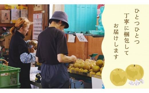 ＜ 先行予約 ＞【選べる内容量 / 品種】【最短2025年8月上旬以降発送】片野果樹園 幸水 豊水 新星 かおり 新高 王秋 梨 約 3kg 5kg 幸水梨 なし ナシ フルーツ 果物 旬 産地直送 国産 茨城県 こうすい ほうすい しんせい にいたか おうしゅう