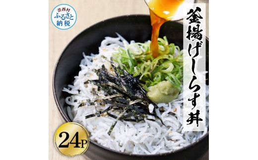 [CF-R7hbk]KGP068 高知県産釜揚げしらす 50g×24パック 簡易梱包 小分け 国産 釜揚げ シラス丼 海鮮丼 ゆず付 お茶漬け 軍艦巻き 手巻き寿司 24人前 大容量 冷凍配送 おかず お取り寄せ のし対応 ギフト