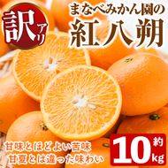 ＜先行予約受付中！2027年2月上旬以降順次発送予定＞訳あり！まなべみかん園の紅八朔(約10kg) 国産 鹿児島県産 阿久根市産 柑橘類 みかん 蜜柑 果物 ミカン デザート フルーツ 数量限定 期間限定 ご自宅用 ご家庭用【有限会社まなべみかん園】akn034-03