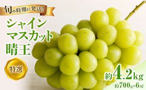 【2026年先行受付】 シャインマスカット 晴王 特選 大房 約700g 6房 化粧箱入 岡山県産 ぶどう 葡萄 ブドウ ギフト 御礼 プレゼント 御礼 御祝 御供 果物 くだもの フルーツ