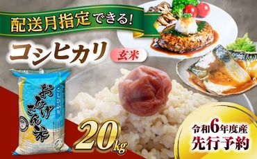 コシヒカリ　玄米　20kg　米　お米　ご飯　愛西市/脇野コンバイン[AECP032]