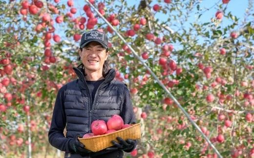 【訳あり】 サンふじ 約3kg 6～12玉［おぶせファーマーズ］ 不揃い 規格外 家庭用 りんご 林檎 リンゴ 果物 フルーツ ふじ 長野 信州 数量限定 【2024年11月中旬～2025年5月上旬発送】［FH-51］