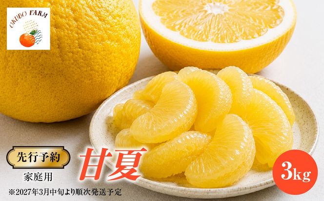 【先行予約】家庭用　甘夏3kg　※2027年3月中旬より順次発送予定 IKTAT017