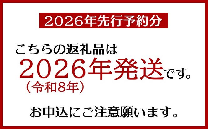 ＜訳あり・ご自宅用＞アップルマンゴー（約1.5kg）＜2026年発送＞ 〇 沖縄 旬のフルーツ マンゴー 7月 スイーツ おうち用 産地直送 お家使い うちなーすぐりむん 読谷村 お試し 夏 人気 甘い 家庭用
