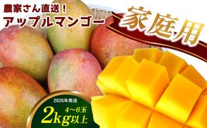 【2026年発送】農家さん直送！アップルマンゴー2kg以上　家庭用 アーウィン 果物 甘い 夏 濃厚 ギフト Mango ランキング 完熟 お気に入り 収穫 人気 甘味 フルーツ 沖縄県 先行予約 食品 デザート 産地直送 送料無料
