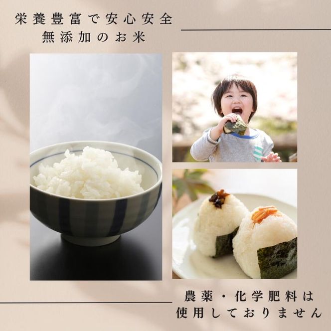定期便 6ヶ月 ベストファーマーズ賞受賞 いのちの壱 白米 5kg 無農薬 令和8年産 米 お米 チャック付 チャック 小分け  産地直送 長野 定期 6回