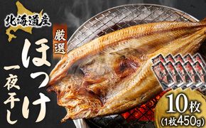 北海道産 ほっけ一夜干し（450～499g）×10枚 ｜ 釧路町の匠が贈る 北の至宝 ホッケ 干物 焼魚 焼き魚 白身魚 セット ひもの 魚干物 一人暮らし セット おかず 冷凍 スピード発送 すぐ届く 魚介類 海鮮 絶品 人気 ヒロセ すぐ発送 北海道 釧路町 釧路超 特産品