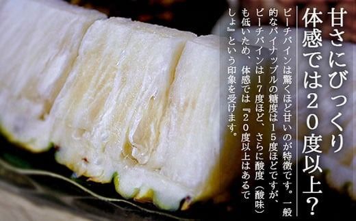 【先行受付】《2026年5月上旬～7月上旬順次発送予定》石垣島産パイナップル（ピーチパイン）3玉入 約2kg（1.7~2.2kg）【産地直送 沖縄県 石垣島 農家直送 パイン フルーツ】TK-10 