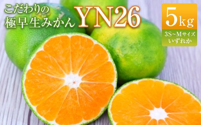 こだわりの極早生みかんYN26 5kg 3S～Mサイズいずれか AQ007