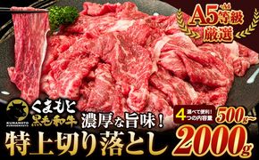 くまもと黒毛和牛 ウデ・モモ 特上 切り落とし 選べる 500g 1000g 1500g 2000g 牛肉 冷凍 《30日以内に出荷予定(土日祝除く)》冷凍庫 個別 取分け 小分け 個包装 モモ スライス 肉 お肉 しゃぶしゃぶ すき焼き A5 A4---oz_fkkgmur_30d_r7_10000_500g---