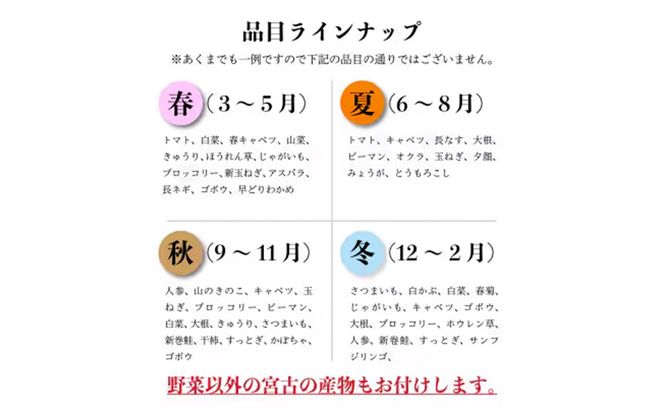 【新鮮野菜】こだわり厳選 旬の野菜セット 宮古産 野菜 野菜セット 旬 季節