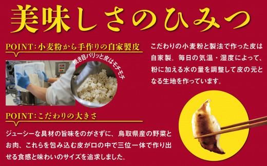 鳥取餃子 鳥取県産ブランド豚使用 60個セット (30個入り×2パック) 312011_DK005